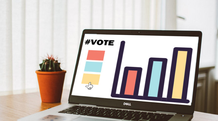 OPINION: Do online polls provide valuable information?