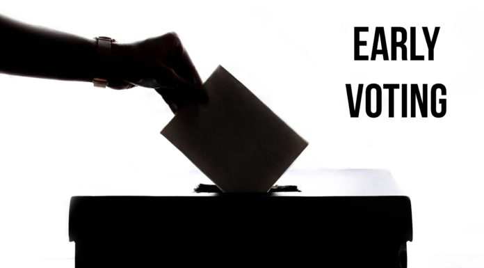 Final early voting numbers for 2020 Primary Election