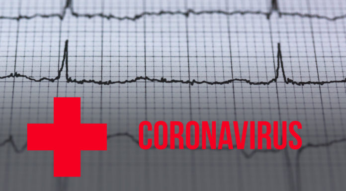 Local events and institutions continue to be affected by COVID-19