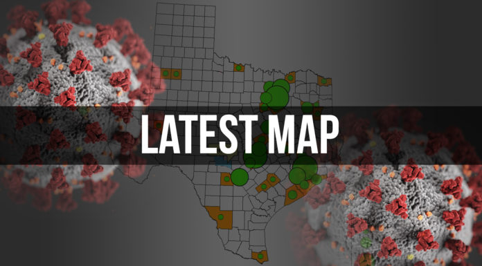 Updated Texas statistics for March 20